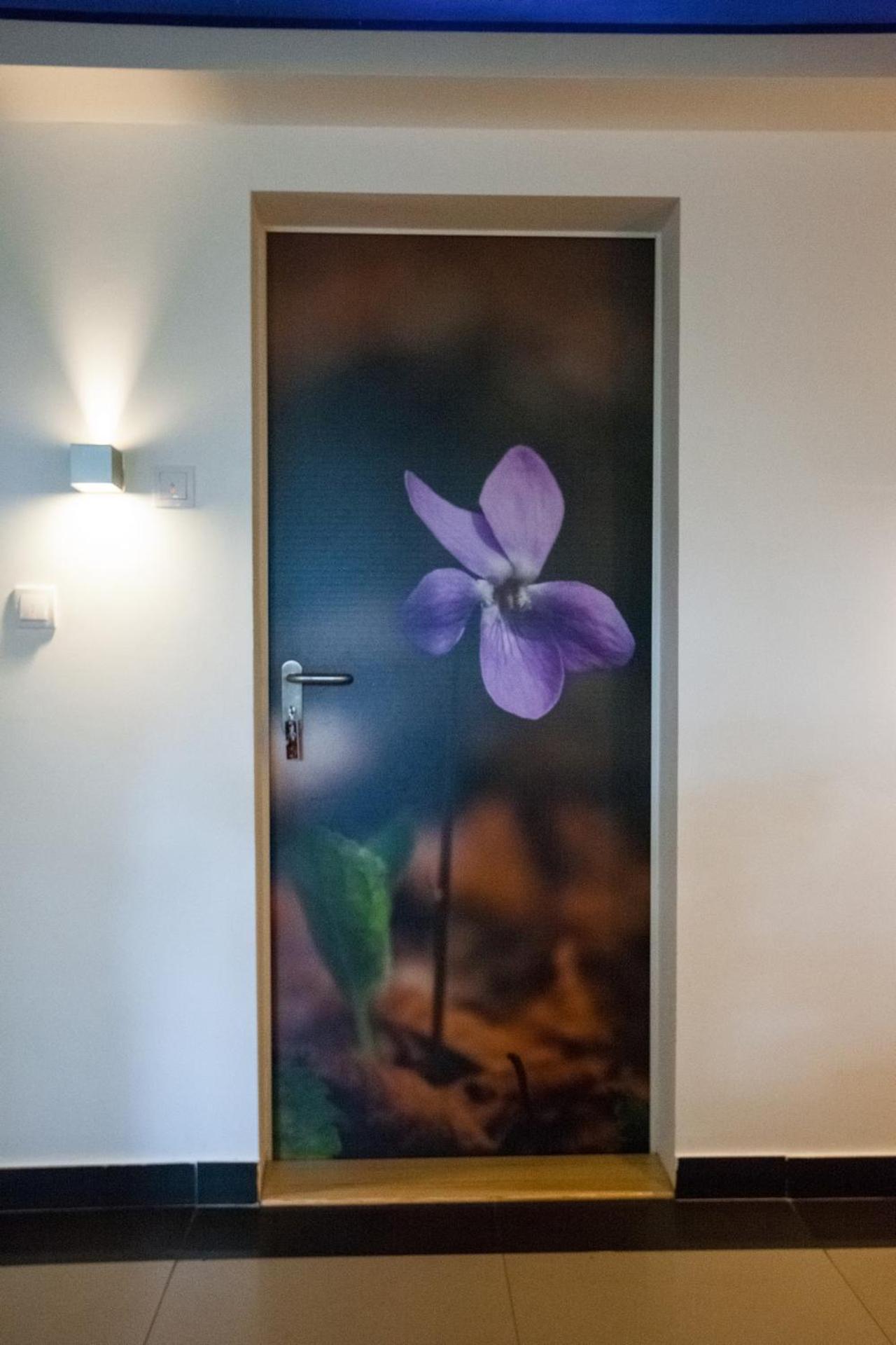 Vila Plamenac Divcibare Ngoại thất bức ảnh