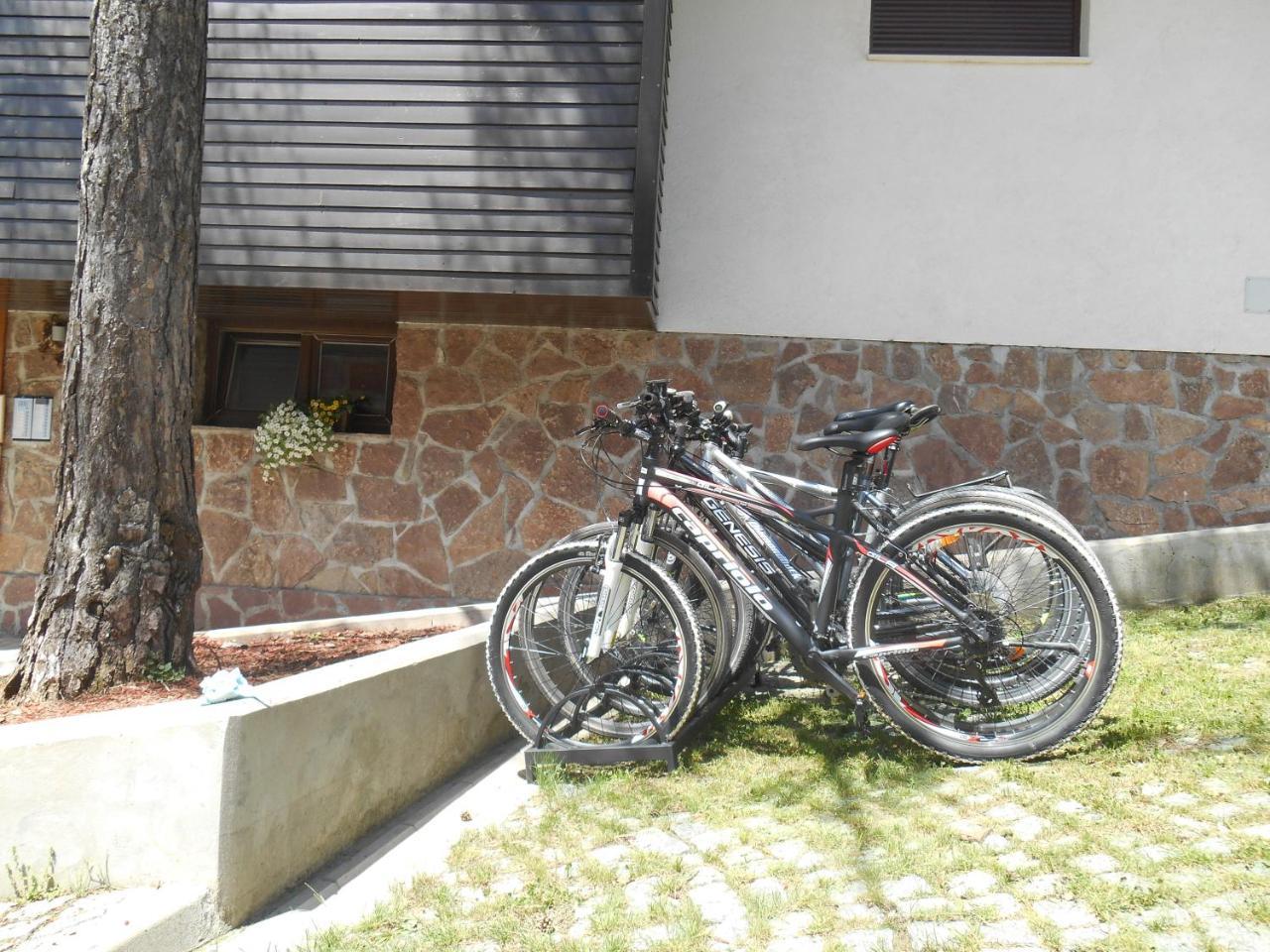 Vila Plamenac Divcibare Ngoại thất bức ảnh